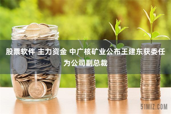 股票软件 主力资金 中广核矿业公布王建东获委任为公司副总裁