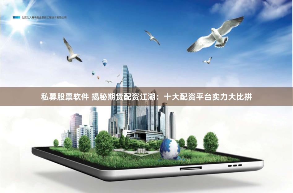 私募股票软件 揭秘期货配资江湖：十大配资平台实力大比拼